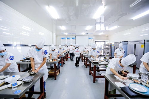 重慶高新區(qū)首屆“高新工匠杯”技能大賽開賽，信息技術(shù)咨詢服務(wù)領(lǐng)域人才角逐巔峰